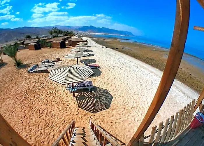 Paradise Sweir